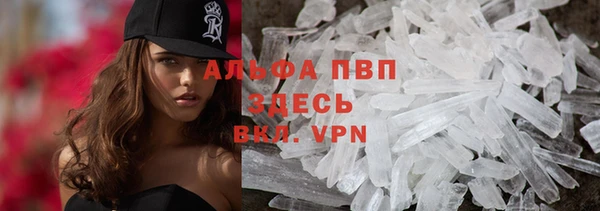 дживик Вязьма