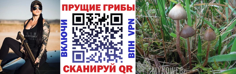 Галлюциногенные грибы мицелий Новодвинск