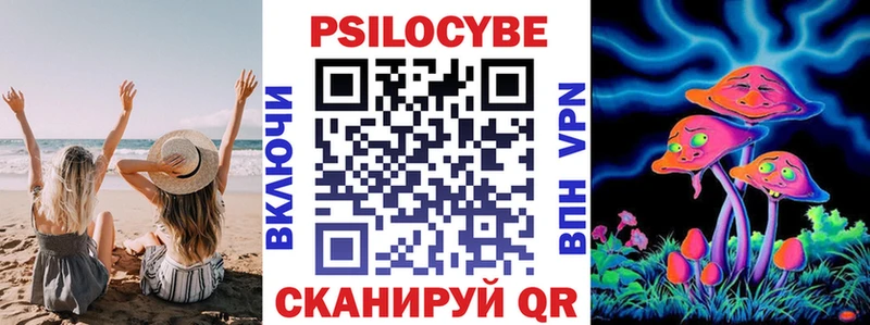 МЕГА рабочий сайт  наркотики  Новодвинск  Псилоцибиновые грибы Psilocybine cubensis 