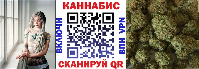 Шишки марихуана семена  hydra tor  Новодвинск 