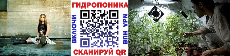 Бошки марихуана семена Новодвинск